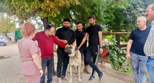Afyonkarahisar’ın Başmakçı ilçesinde evcil hayvanların kayıt altına alınması ve kimliklendirilmesi