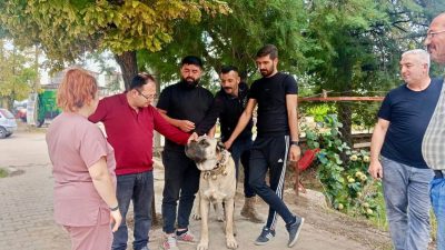 Afyonkarahisar’ın Başmakçı ilçesinde evcil hayvanların kayıt altına alınması ve kimliklendirilmesi