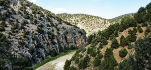 Türkiye Selçuklu Devleti ile Bizans (Doğu Roma) İmparatorluğu arasında Küfü