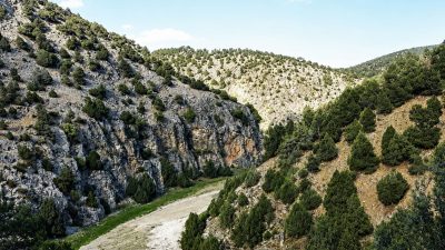 Türkiye Selçuklu Devleti ile Bizans (Doğu Roma) İmparatorluğu arasında Küfü