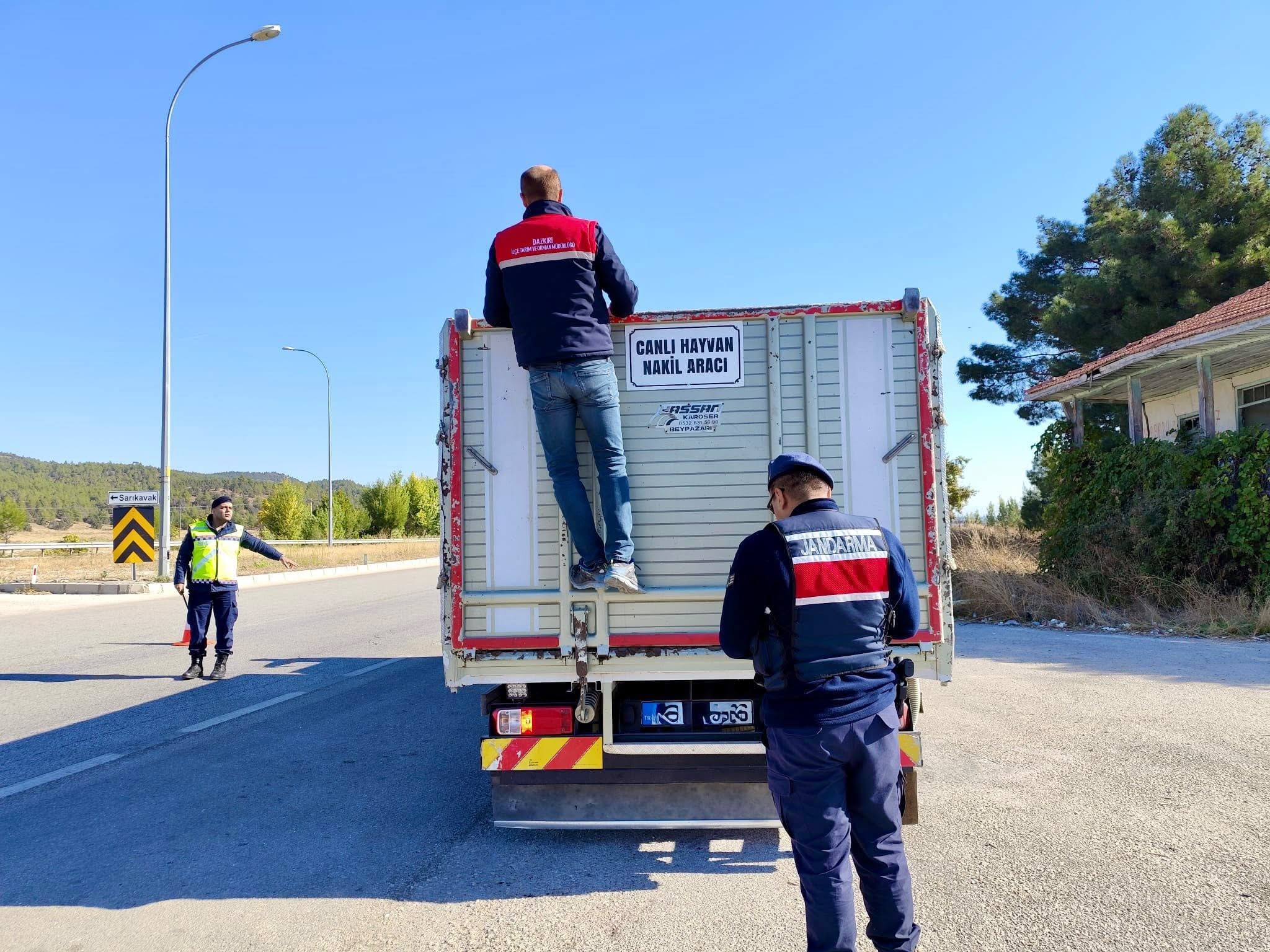 Canlı hayvan nakline yönelik denetimler sürüyor 1 Canlı hayvan nakline yönelik denetimler sürüyor