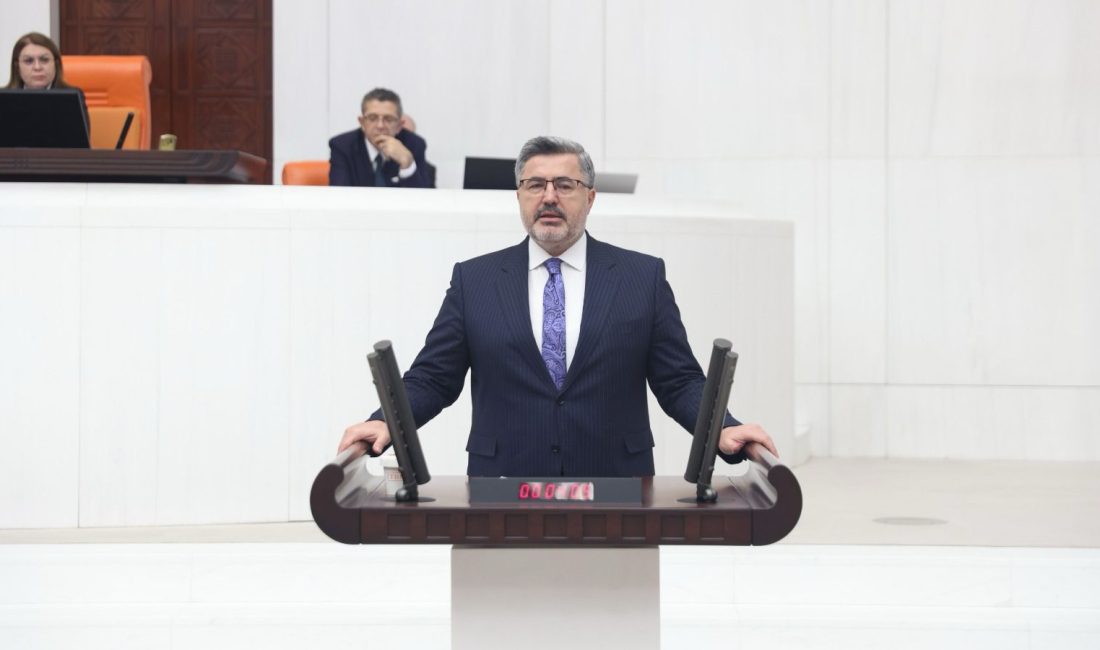 AK Parti Afyonkarahisar Milletvekili Ali Özkaya, 29 Ekim Cumhuriyet Bayramı
