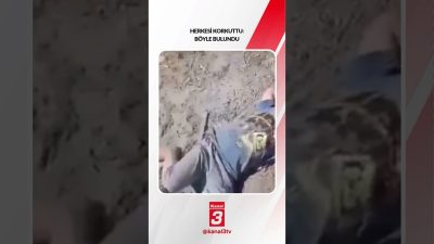 Kanal 3Sal, Ekim 20, 2026 8:00amURL:Embed:Herkesi korkuttu: böyle bulundu… 📶https://kanal3.com.tr/