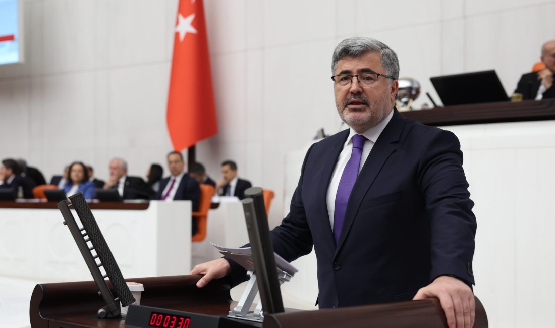 AK Parti Afyonkarahisar Milletvekili Ali Özkaya, 2026 yılında kentte yaşanan
