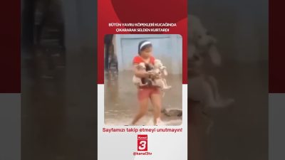 Kanal 3Sal, Ekim 6, 2026 4:00pmURL:Embed:Bütün yavru köpekleri kucağında çıkararak