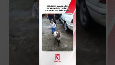 Kanal 3Cts, Ekim 17, 2026 4:00pmURL:Embed:İşten dönen babasını, minik kuzusuyla