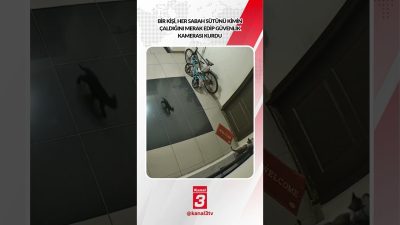 Kanal 3Sal, Ekim 13, 2026 2:00pmURL:Embed:Bir kişi, her sabah sütünü