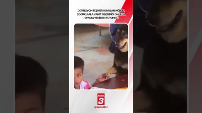 Kanal 3Cts, Ekim 24, 2026 4:00pmURL:Embed:Depresyon teşhisi konulan köpek, çocuklarla