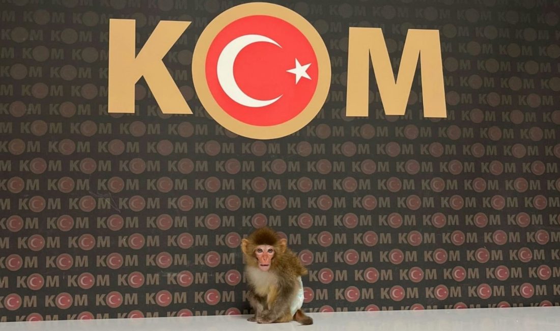 Afyonkarahisar’da kaçakçılık faaliyetlerinin önlenmesine yönelik yürütülen çalışmalar kapsamında bir ikamete