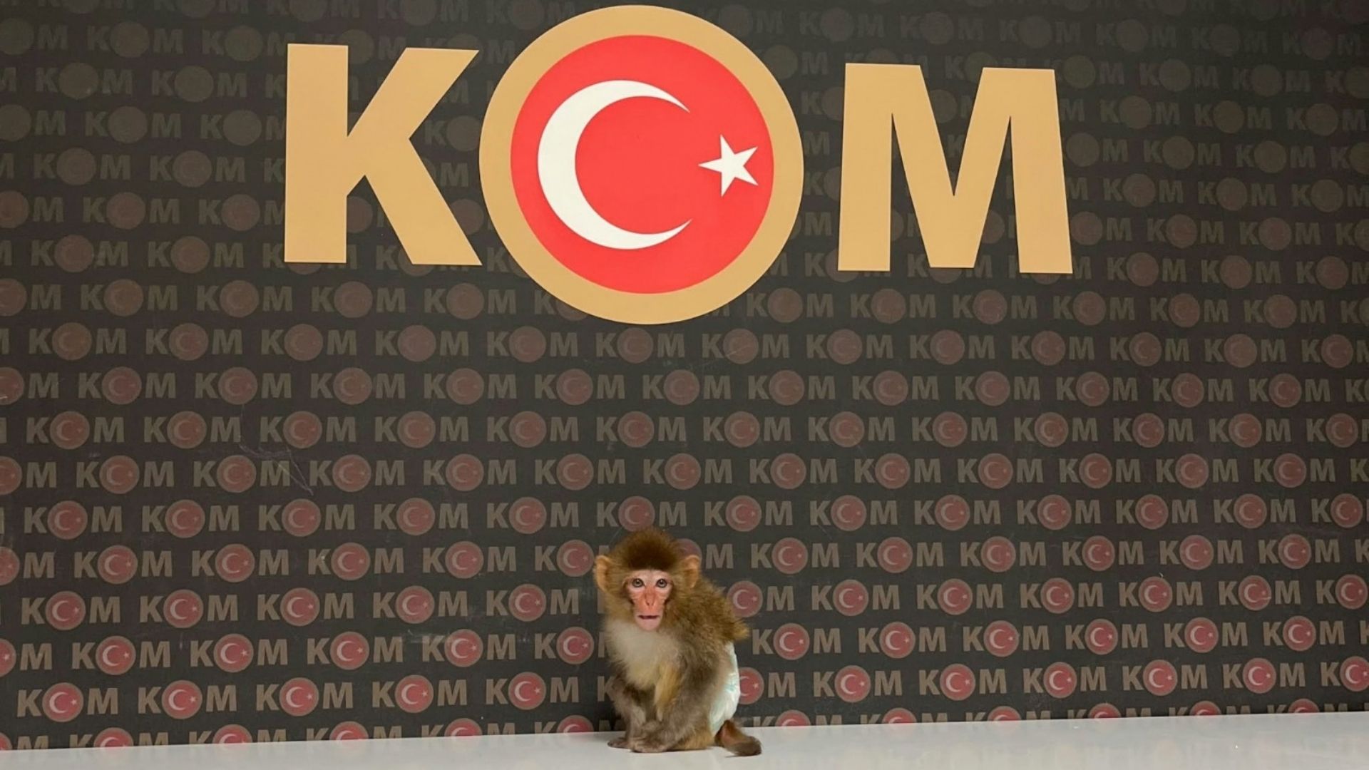 Afyonkarahisar’da kaçakçılık faaliyetlerinin önlenmesine yönelik yürütülen çalışmalar kapsamında bir ikamete