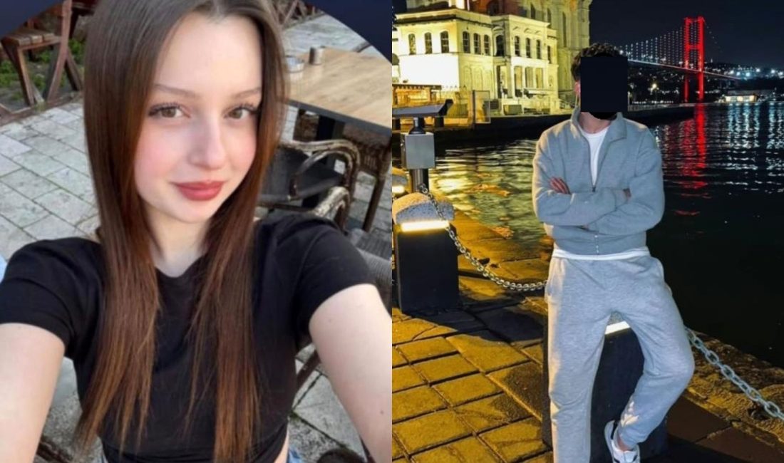 Bursa'nın Karacabey ilçesinde 18 yaşındaki Gökçe Alkan'ın hayatını kaybettiği cinayetin