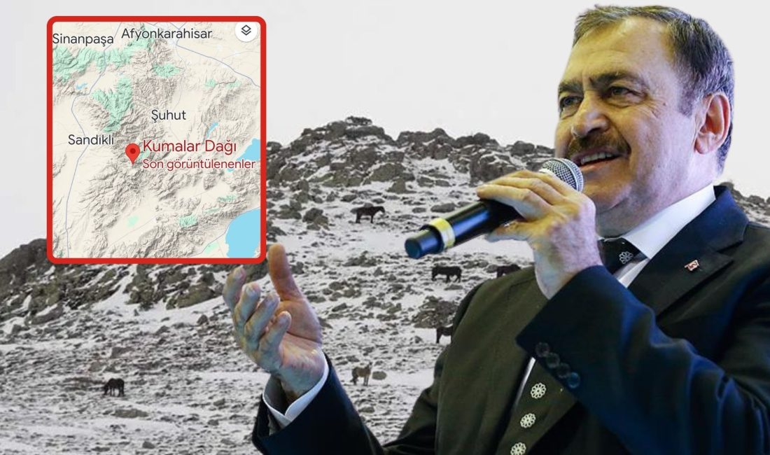 Cumhurbaşkanlığı Irak Özel Temsilcisi ve eski Orman ve Su İşleri