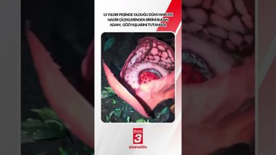 13 yıldır peşinde olduğu dünyanın en nadir çiçeklerinden birini bulan
