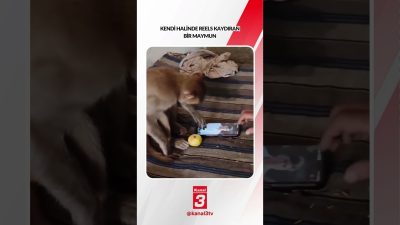 Kanal 3Pts, Ekim 19, 2026 2:00pmURL:Embed:Kendi halinde reels kaydıran bir