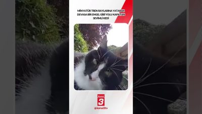 Minyatür tren raylarına yatarak devasa bir engel gibi yolu kapatan
