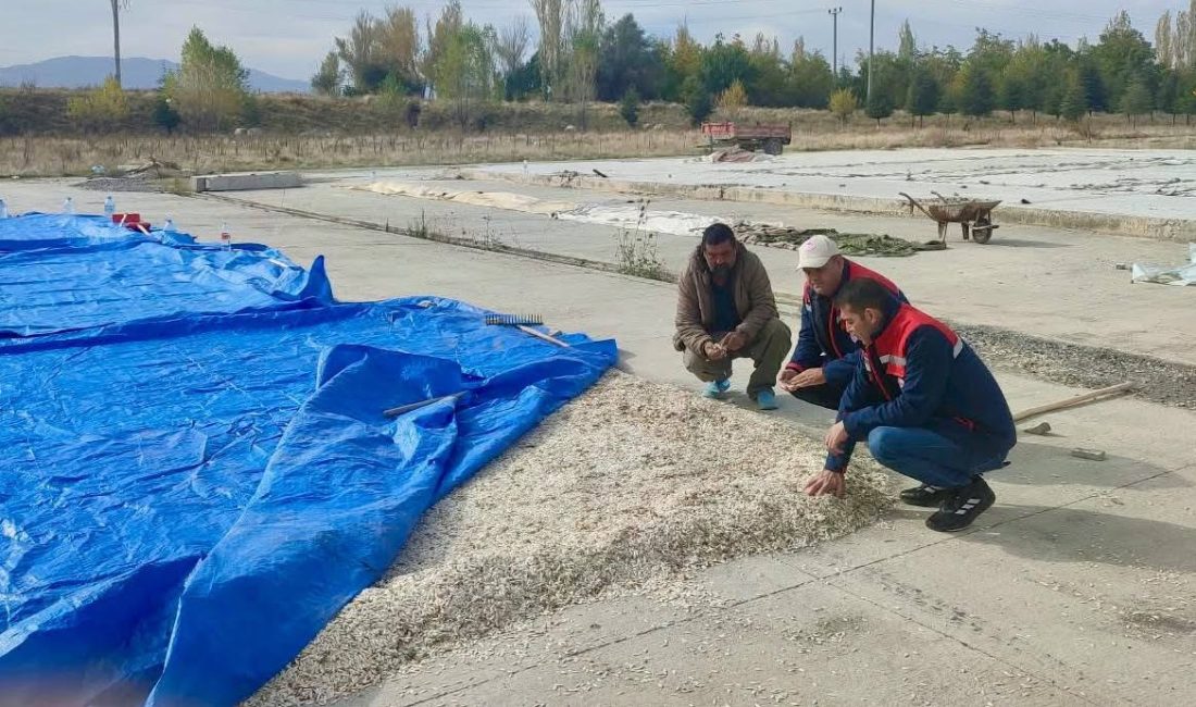 Afyonkarahisar’ın Çay ilçesinde çerezlik kabak çekirdeği ve elma üreticilerine yönelik