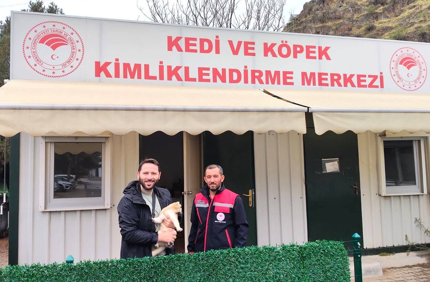 Kedi ve köpekler mikroçip ile kayıt altına alınıyor 1 Kedi ve köpekler mikroçip ile kayıt altına alınıyor