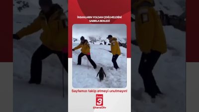 Kanal 3Çar, Eylül 30, 2026 4:00pmURL:Embed:İnsanların yoldan çekilmelerini sabırla bekledi…