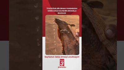 Kanal 3Cum, Ekim 9, 2026 2:00pmURL:Embed:İtfaiyeciler, bir orman yangınından sonra