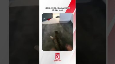 Kanal 3Çar, Ekim 28, 2026 2:00pmURL:Embed:Kedinin sahibini karşılama şekli gündem