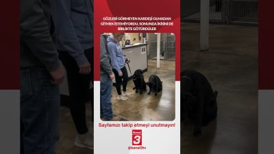 Kanal 3Cts, Ekim 10, 2026 8:00amURL:Embed:Gözleri görmeyen kardeşi olmadan gitmek