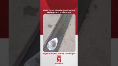 Küçük çocuk, kurbağayı kağıttan sala bindirerek yolculuğa çıkardı… 📶https://kanal3.com.tr/ Sosyal