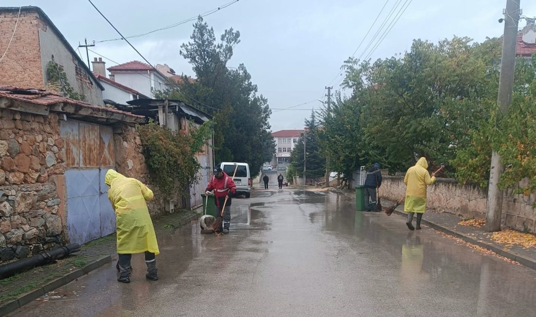 Bolvadin Belediyesi tarafından, ilçe genelinde sürdürülen rutin temizlik çalışmalarına ek