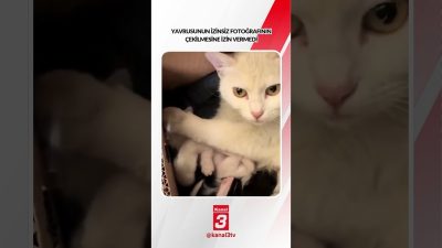 Kanal 3Sal, Ekim 20, 2026 12:00pmURL:Embed:Yavrusunun izinsiz fotoğrafının çekilmesine izin