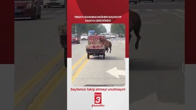 Fırsatı olmasına rağmen kaçmayıp kasaya geri döndü… 📶https://kanal3.com.tr/ Sosyal Medya