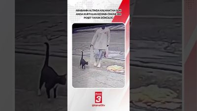 Kanal 3Sal, Ekim 13, 2026 8:00amURL:Embed:Arabanın altında kalmaktan son anda