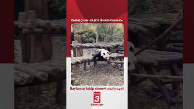 Kanal 3Per, Ekim 8, 2026 4:00pmURL:Embed:Önüne çıkan her şeye sinirlenen