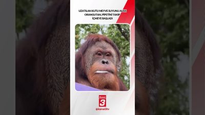 Kanal 3Cts, Ekim 17, 2026 2:00pmURL:Embed:Kendisine uzatılan kutu meyve suyunu