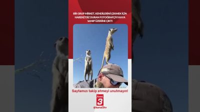 Kanal 3Cum, Ekim 9, 2026 12:00pmURL:Embed:Bir grup mirket, kendilerini çekmek