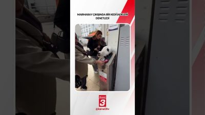 Marmaray çıkışında bir kedi iadeleri denetledi… 📶https://kanal3.com.tr/ Sosyal Medya Hesaplarımızı