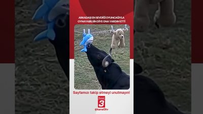Kanal 3Pts, Ekim 5, 2026 4:00pmURL:Embed:Arkadaşı en sevdiği oyuncağıyla oynayabilsin