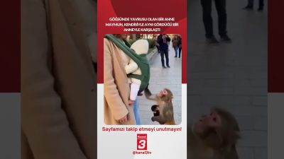 Kanal 3Çar, Ekim 7, 2026 12:00pmURL:Embed:Göğsünde yavrusu olan bir anne