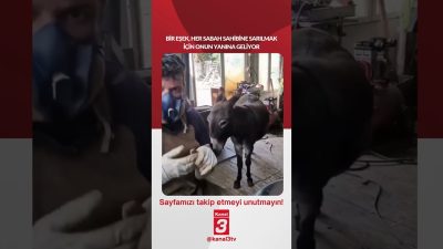Kanal 3Cum, Ekim 2, 2026 10:00amURL:Embed:Bir eşek, her sabah sahibine