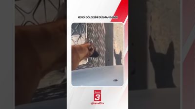 Kanal 3Sal, Ekim 20, 2026 4:00pmURL:Embed:Kendi gölgesini düşman sandı… 📶https://kanal3.com.tr/