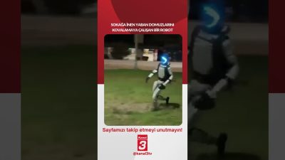 Kanal 3Per, Ekim 8, 2026 2:00pmURL:Embed:Sokağa inen yaban domuzlarını kovalamaya