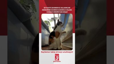 Kanal 3Per, Ekim 1, 2026 4:00pmURL:Embed:Seyahate çıkarken el salladıkları kedilerinin