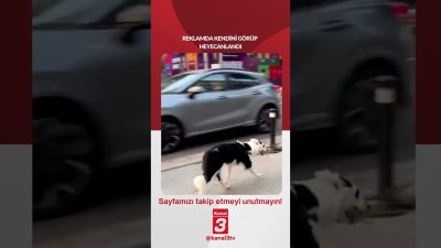 Kanal 3Çar, Ekim 7, 2026 4:00pmURL:Embed:Reklamda kendini görüp heyecanlandı… 📶https://kanal3.com.tr/