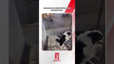 Kanal 3Sal, Ekim 27, 2026 2:00pmURL:Embed:Başkasının kaydığını görünce o da