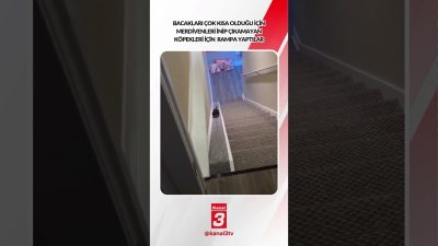 Kanal 3Per, Ekim 29, 2026 2:00pmURL:Embed:Bacakları çok kısa olduğu için