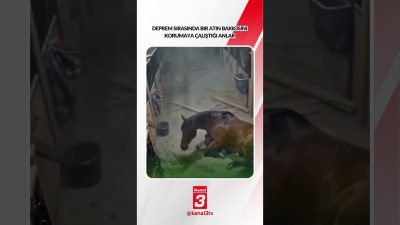 Kanal 3Cts, Ekim 24, 2026 2:00pmURL:Embed:Deprem sırasında bir atın bakıcısını