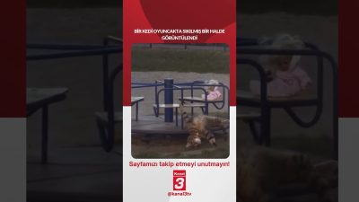Kanal 3Cum, Ekim 9, 2026 8:00amURL:Embed:Bir kedi oyuncakta sıkılmış bir