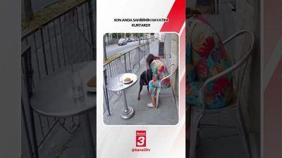 Kanal 3Cum, Ekim 16, 2026 8:00amURL:Embed:Son anda sahibinin hayatını kurtardı!