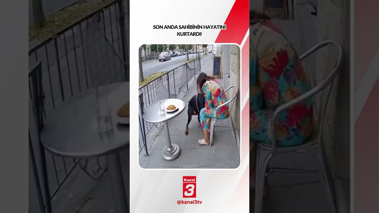 Son anda sahibinin hayatını kurtardı! 📶https://kanal3.com.tr/ Sosyal Medya Hesaplarımızı Takip