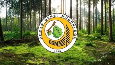 Tarım ve Orman Bakanlığı Orman Genel Müdürlüğü (OGM), 12 müfettiş