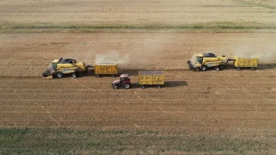 Toprak Mahsulleri Ofisi (TMO), kasım ayında piyasaya 5,5 milyon ton