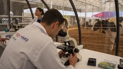 Hayvancılık işletmelerinin, sürülerini süt ve et üretimindeki hedeflerine göre planlamasına